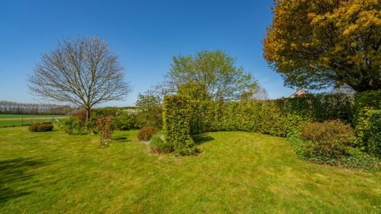 Rue de Petit Ouffet - 27 - - 4590