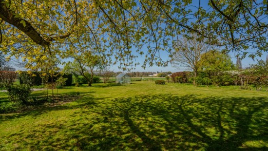 Rue de Petit Ouffet - 27 - - 4590
