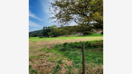Au Sart - 1 - - 4480
