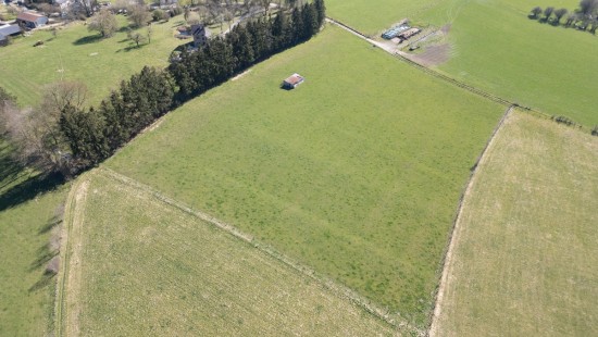 Taverneux - 0 - Lot 1 - 6661