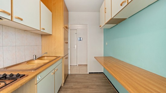Twee Leeuwenweg - 20 - 13/01 - 1800