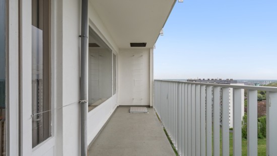 Twee Leeuwenweg - 20 - 13/01 - 1800
