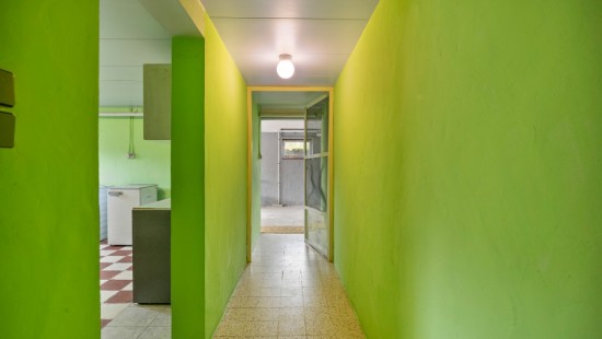 Reustraat - 43 - - 3290
