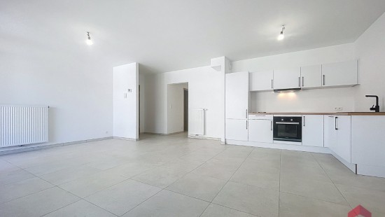 Rue de Dave - 387 - 04 - 5100