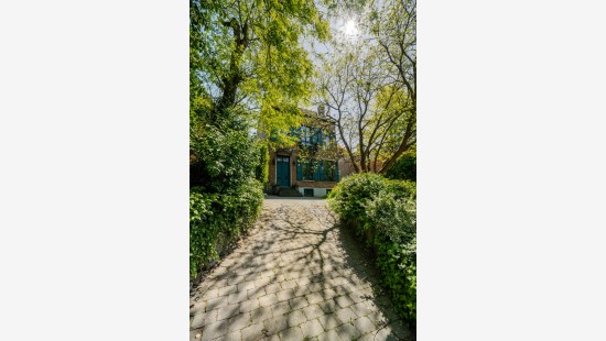 Petrus Schroonsstraat - 84 - - 1830