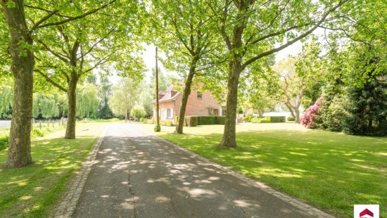 Sint-Amandstraat - 4 - - 8760