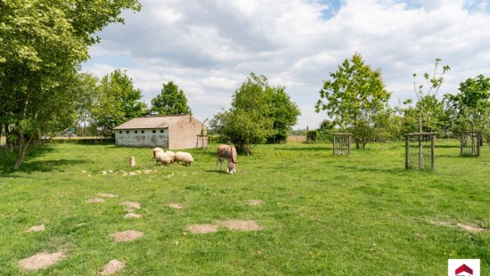 Sint-Amandstraat - 4 - - 8760