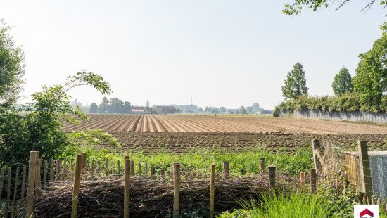 Gentstraat - 206 - - 8770