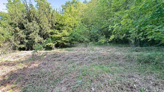 Rue Thier Moulu - 63 - - 4520