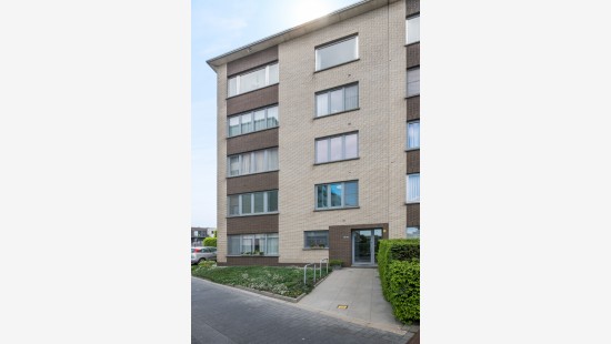 Heidebloemstraat - 103 - - 9100