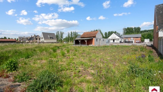 Steenweg op Dendermonde - ZN - - 1745
