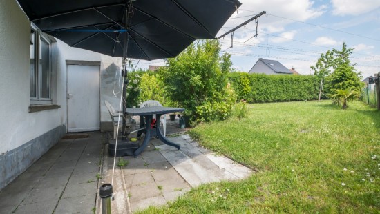Koudehaard - 2 - - 9255