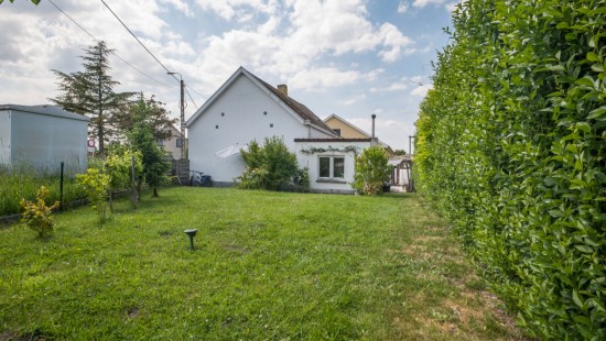 Koudehaard - 2 - - 9255
