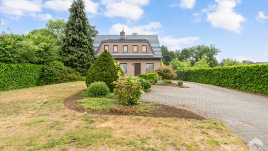 Zwanenstraat - 11 - - 3520