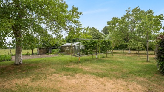 Lindenlaan - 232 - - 9120