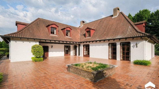 Kerkhofstraat - 1 - - 3530