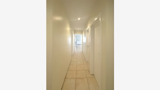 Albert Saverysstraat - 2 - 14 - 8790