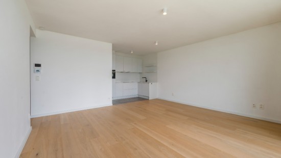 lepelstraat - 99 - E - 9140