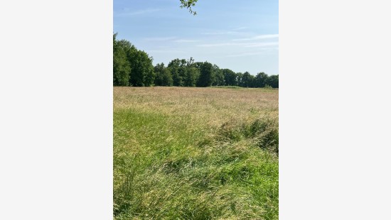 Vroentestraat - 87 - - 3290