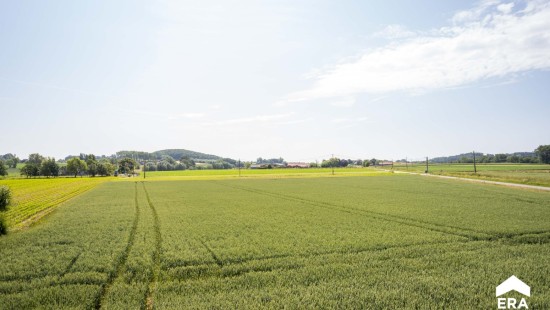 Lokerseweg - 39 - - 8970