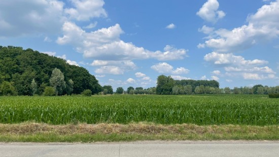 Dukestraat - 9 - - 2811