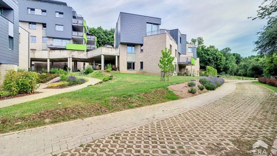 Chaussee de Nivelles - 222 - D31 - D31 - 1420