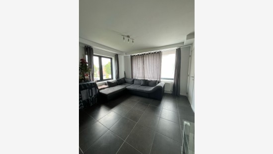 Worteldorp - 49 - 4 - 2323