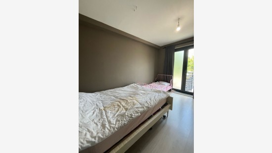 Worteldorp - 49 - 3 - 2323
