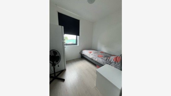 Worteldorp - 49 - 4 - 2323