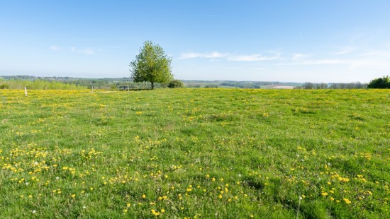 Chemin de la source - 0 - - 6941