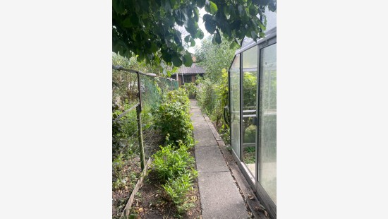 Poperingseweg - 457 - - 8908