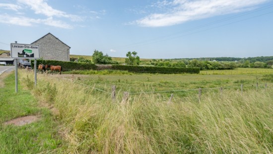 rue baronne lemonnier - 3 - - 5580