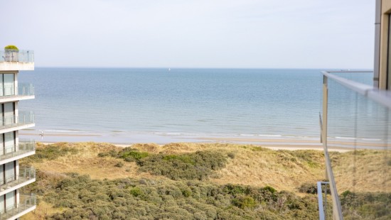 Dynastielaan - 32 - 0701 - 8660