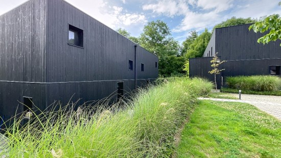 Rue des Petites Roches - 87 - - 4000