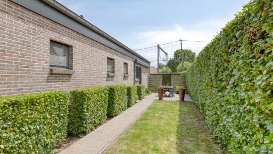 Heidebloem - 12 - - 2500