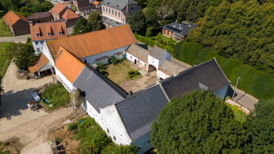 Langstraat - 80 - - 3350