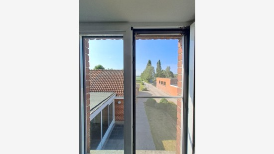Bellegemstraat - 54 - - 8550