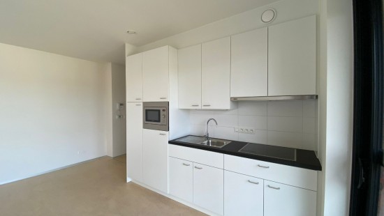 Pastoriestraat - 1 - 15 - 3570