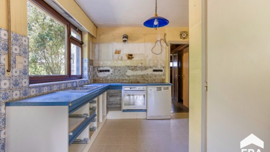De Rooy - 142 - - 2400