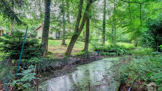 Sentier du Baillois - 14 - - 1330