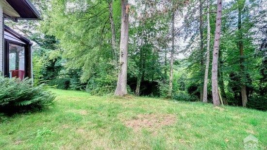 Sentier du Baillois - 14 - - 1330
